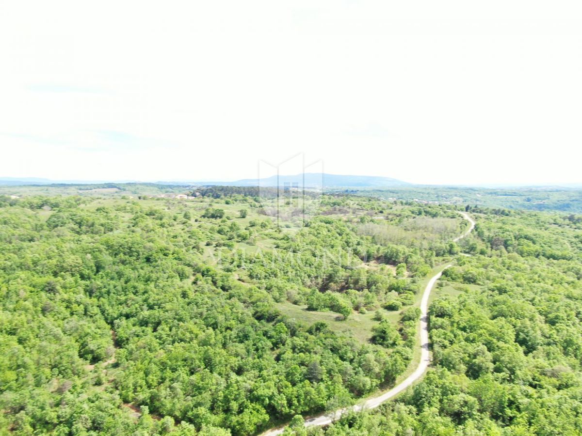 Labin, dintorni, bellissima proprietà isolata