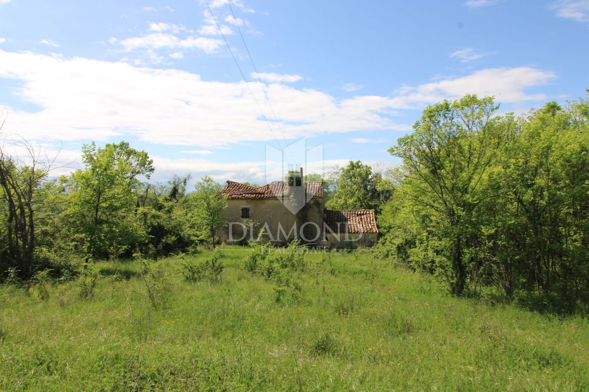 Labin, dintorni, bellissima proprietà isolata