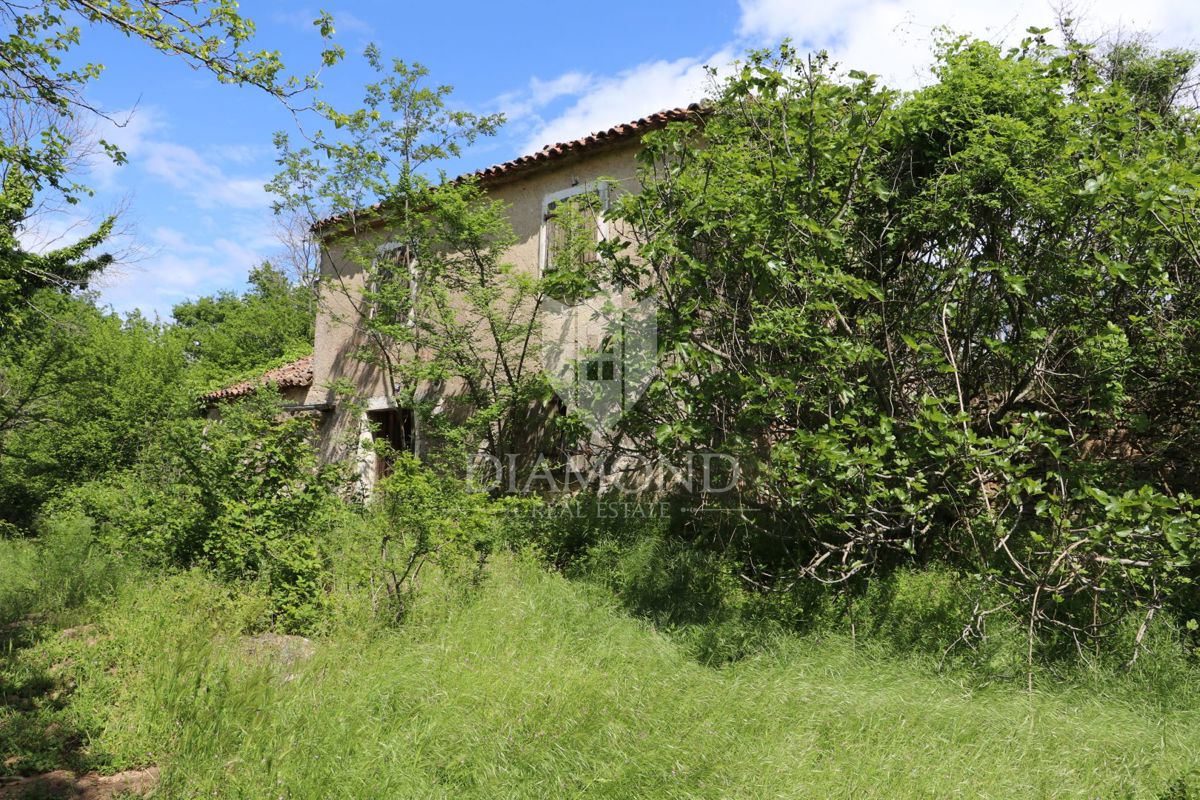 Labin, dintorni, bellissima proprietà isolata