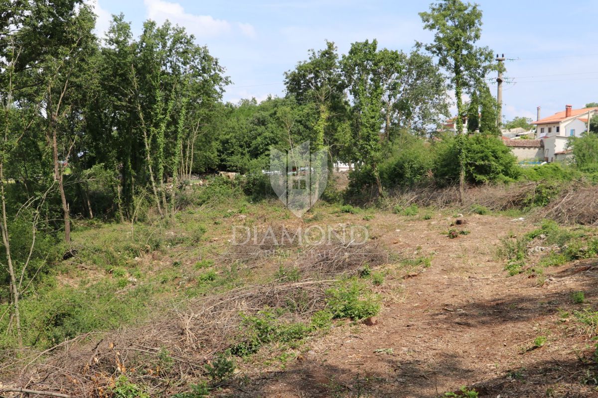 Terreno Križanci, Žminj, 5.800m2