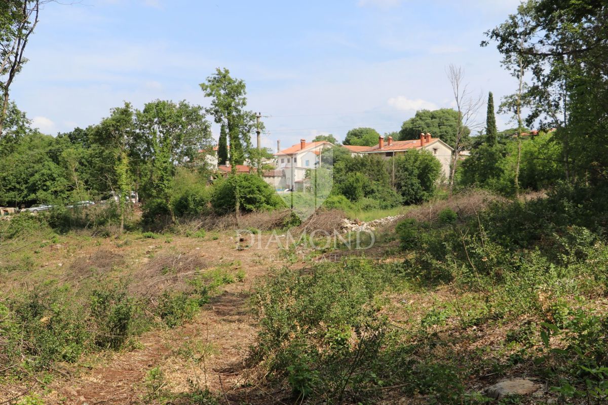 Terreno Križanci, Žminj, 5.800m2