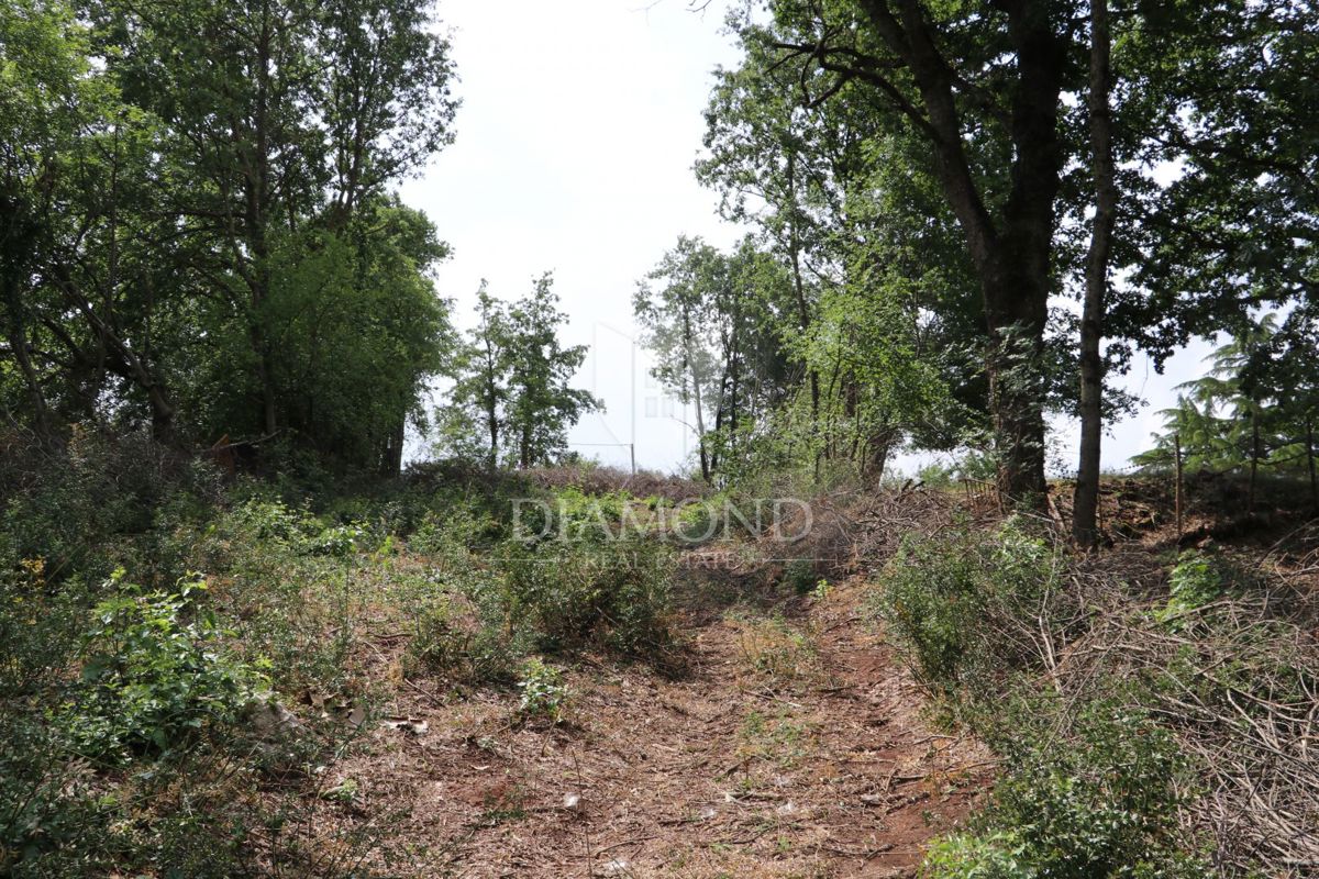 Terreno Križanci, Žminj, 5.800m2