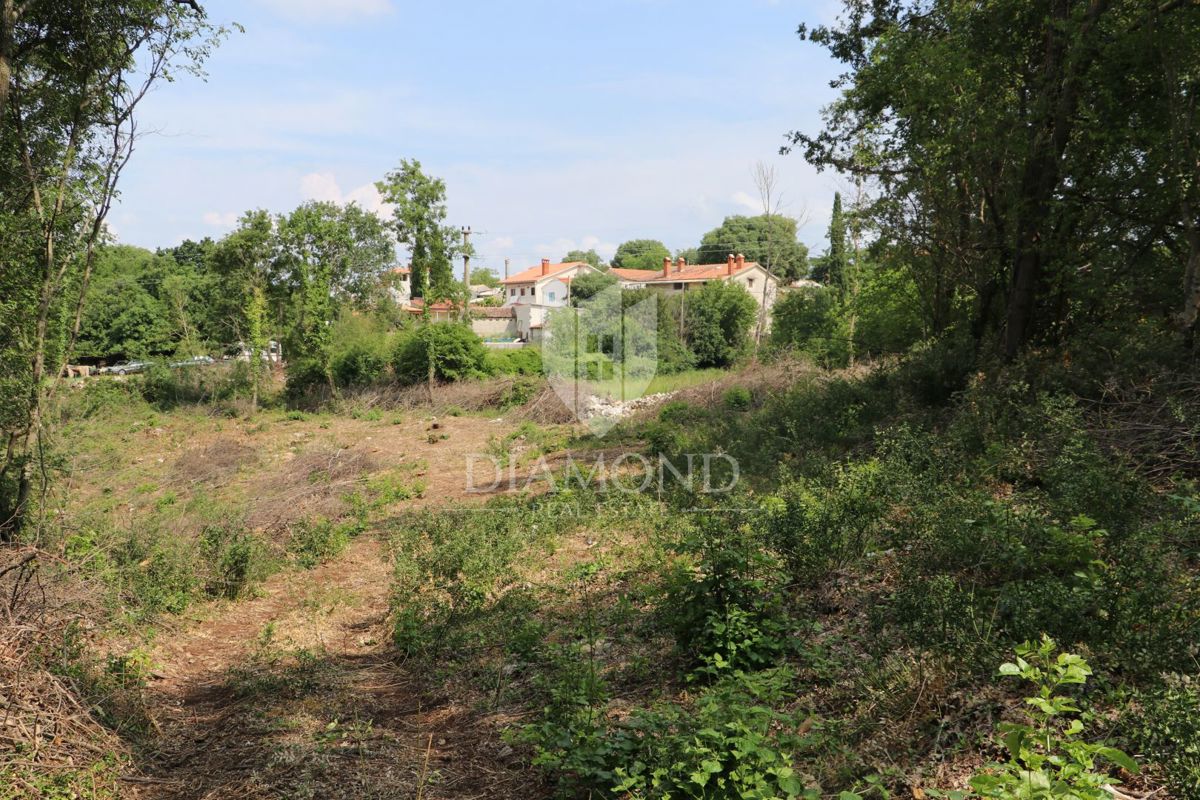 Terreno Križanci, Žminj, 5.800m2