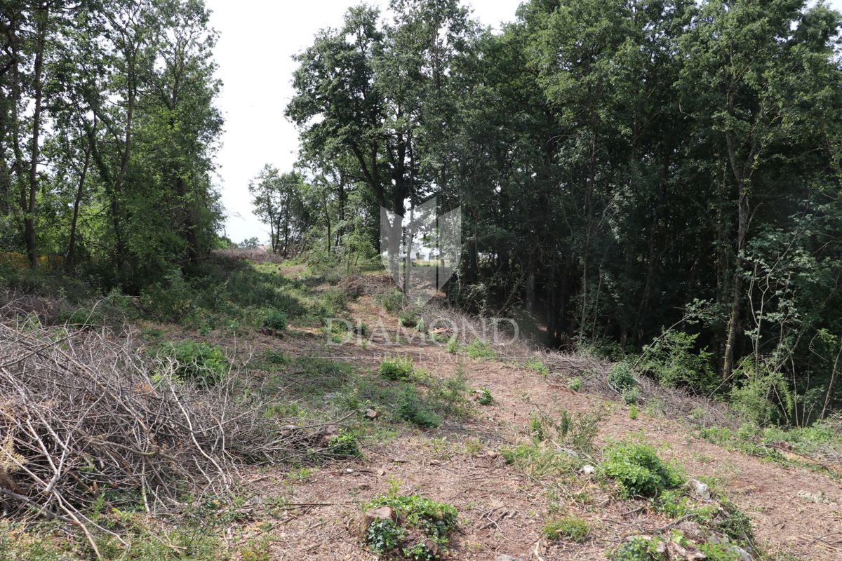 Terreno Križanci, Žminj, 5.800m2