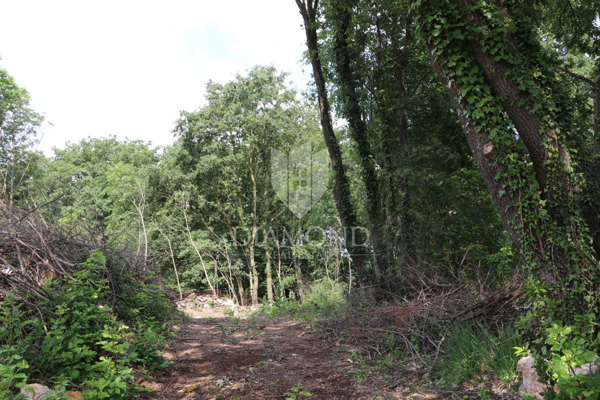 Terreno Križanci, Žminj, 5.800m2