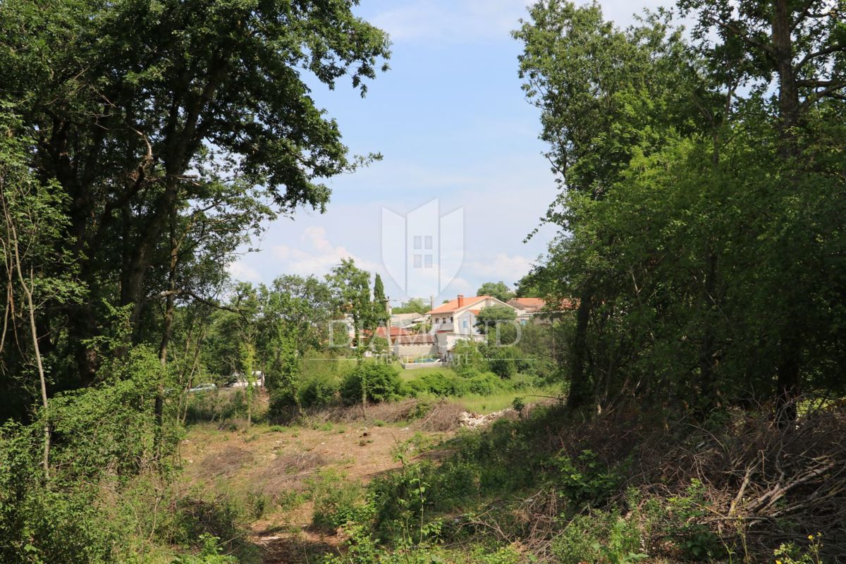 Terreno Križanci, Žminj, 5.800m2