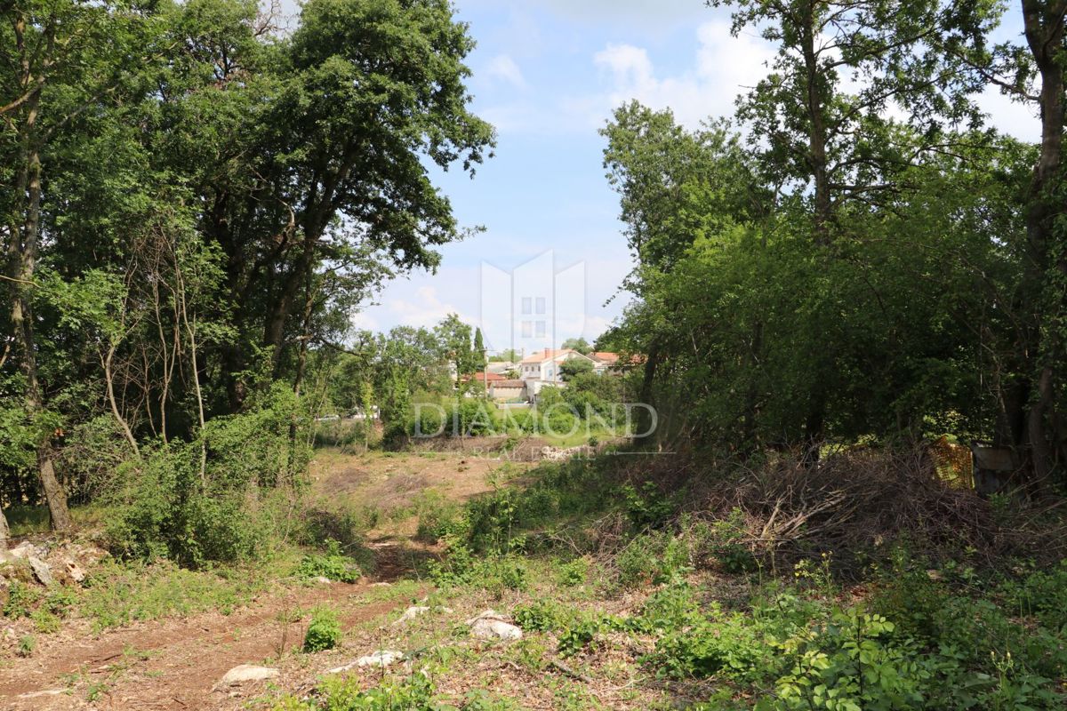 Terreno Križanci, Žminj, 5.800m2