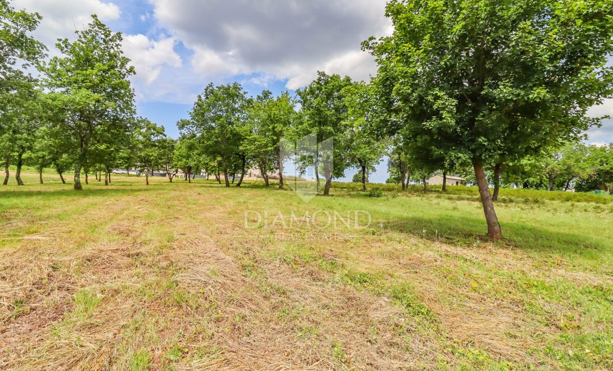 Terreno Poreč, 842m2