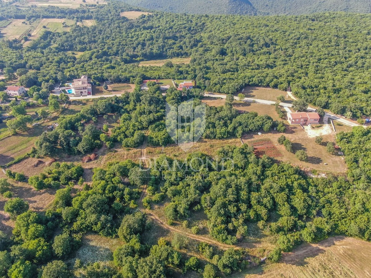 Rovigno, dintorni, terreno in posizione perfetta e tranquilla