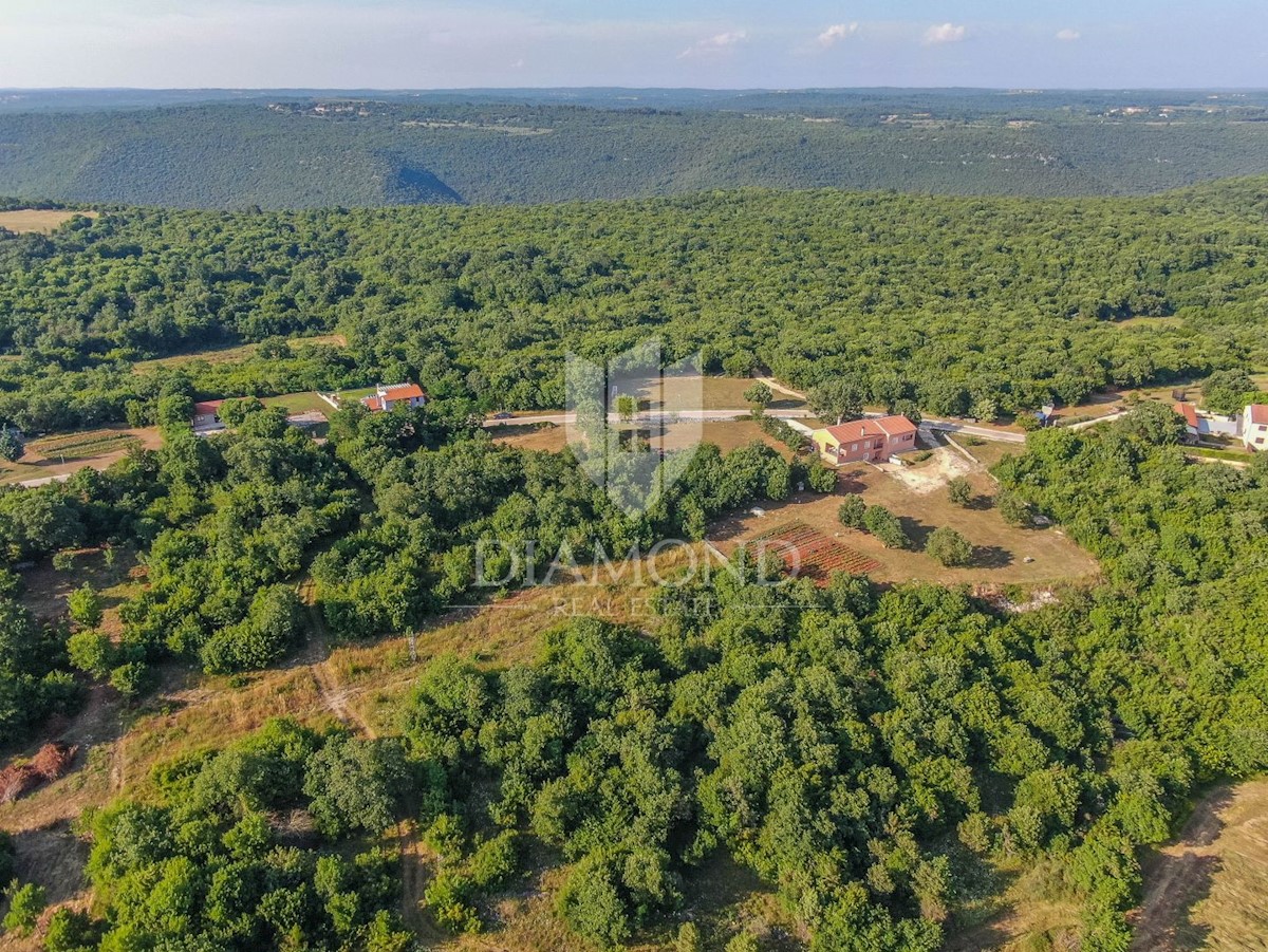 Rovigno, dintorni, terreno in posizione perfetta e tranquilla