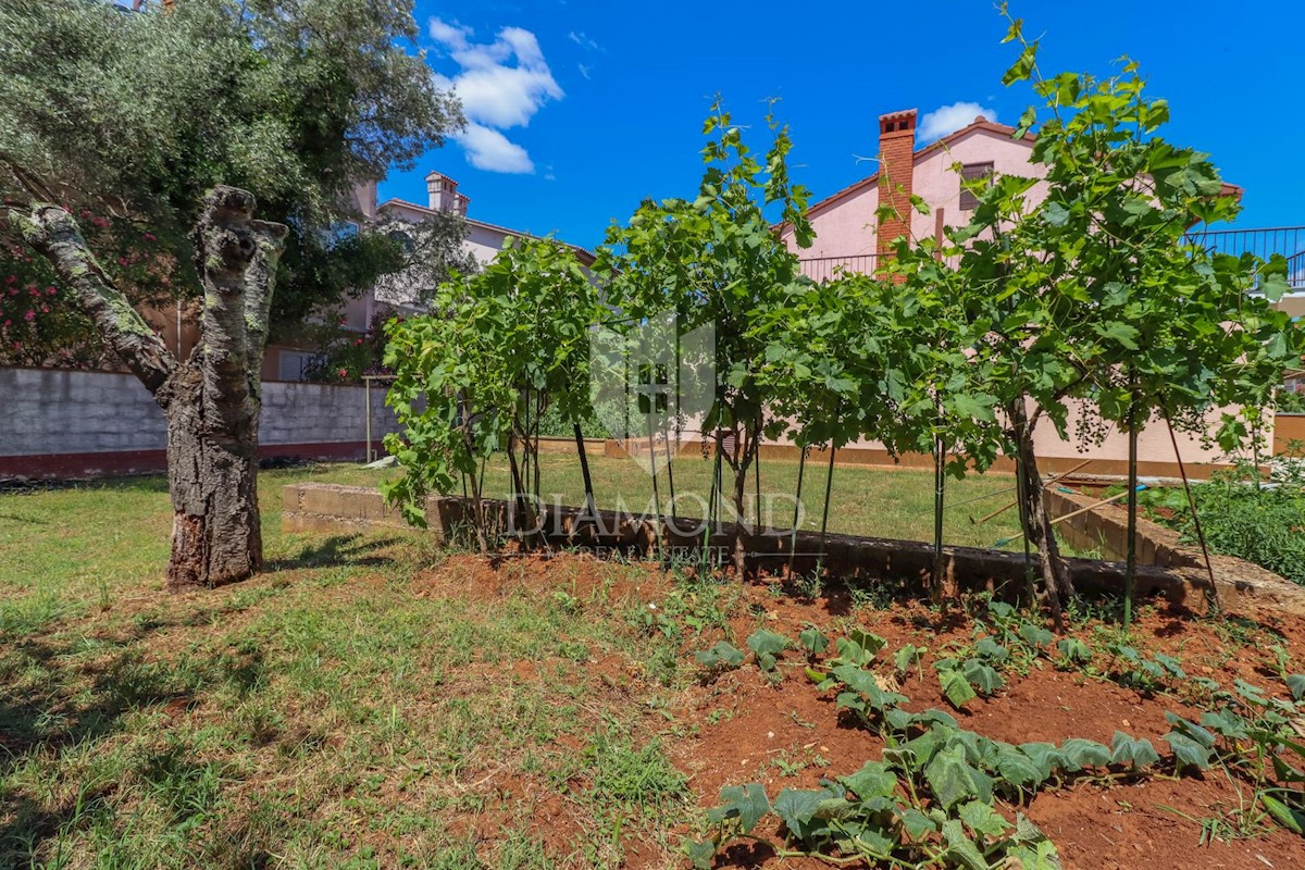 Rovigno, dintorni, casa spaziosa in un ambiente idilliaco