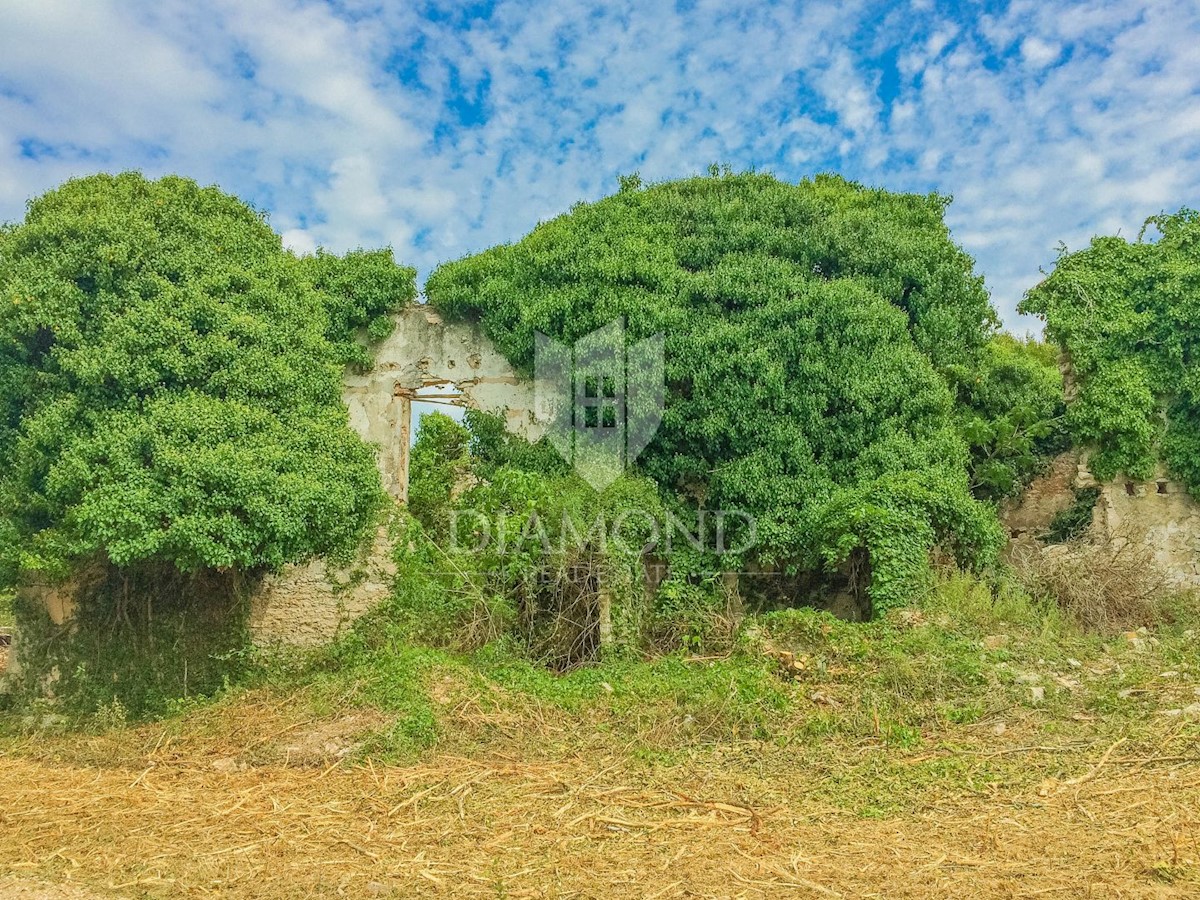 Savudrija, terreno edificabile 3,5 km dal mare!