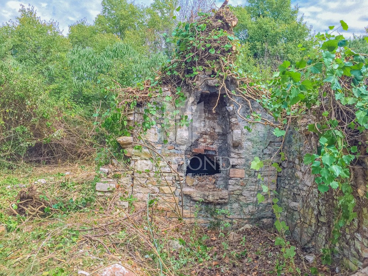 Savudrija, terreno edificabile 3,5 km dal mare!