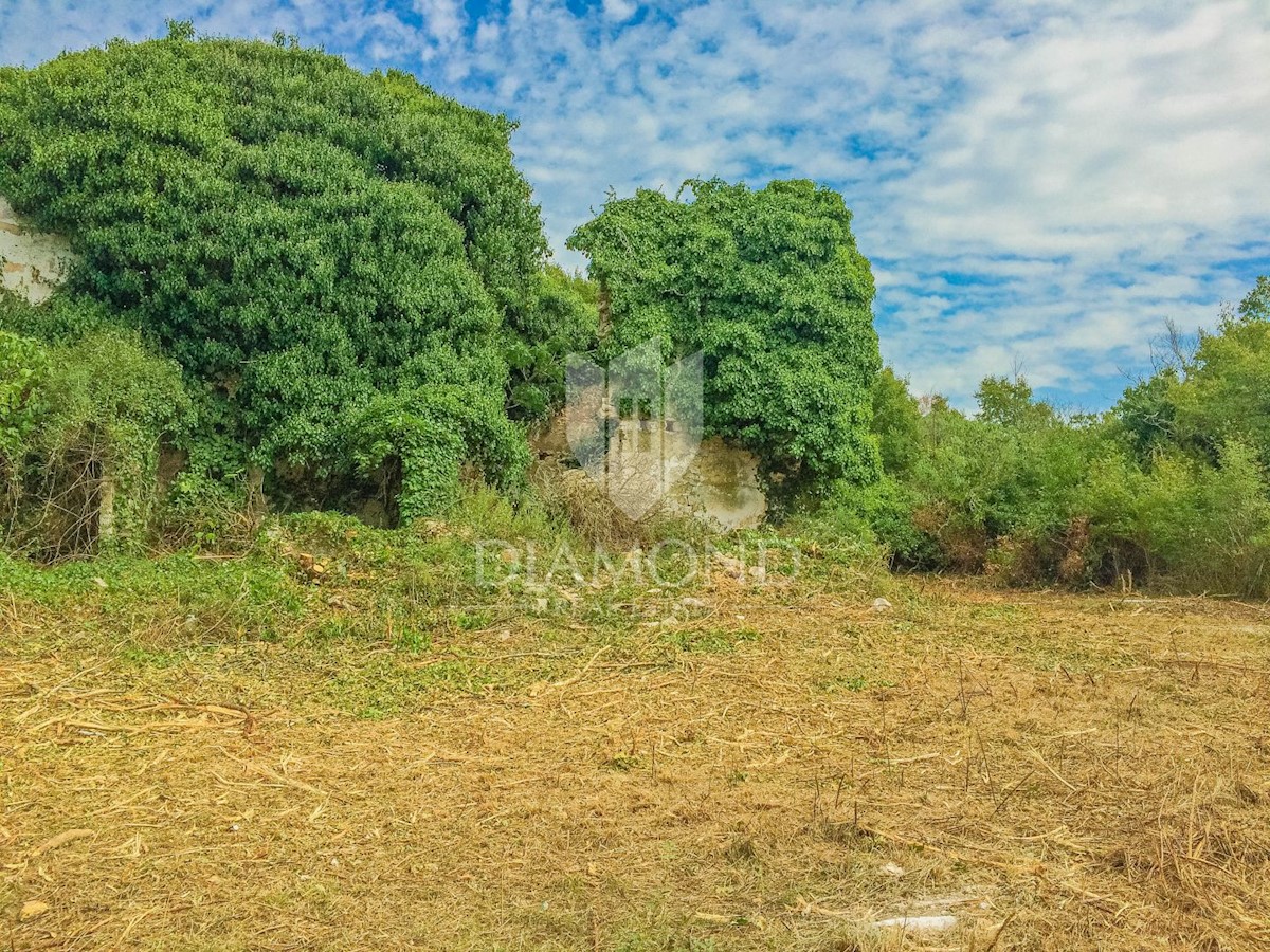 Savudrija, terreno edificabile 3,5 km dal mare!