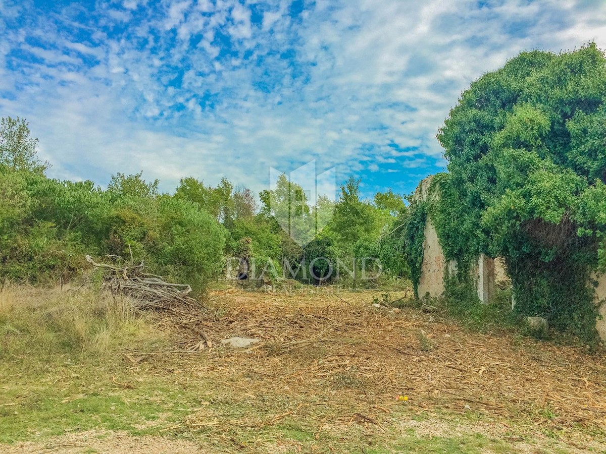 Savudrija, terreno edificabile 3,5 km dal mare!