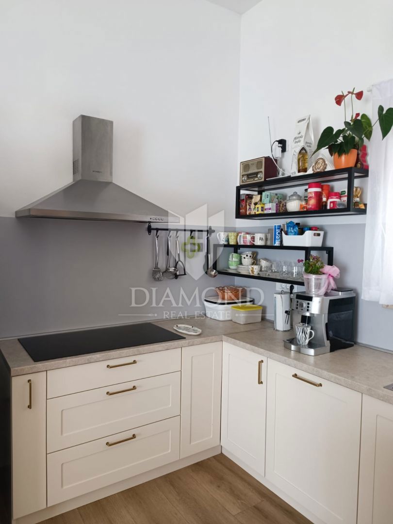Labin, dintorni, casa ad un piano di nuova costruzione con ampio giardino