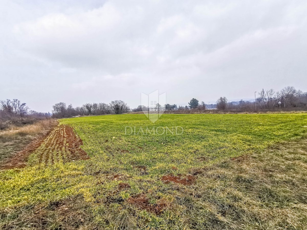 Terreno edificabile per scopi commerciali nelle vicinanze di Barbana!