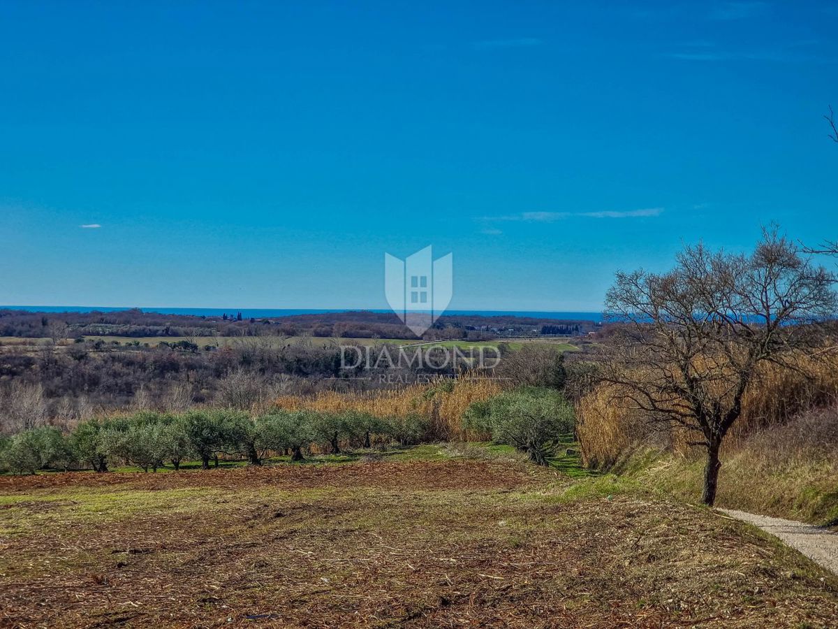 Terreno Buje, 4.125m2