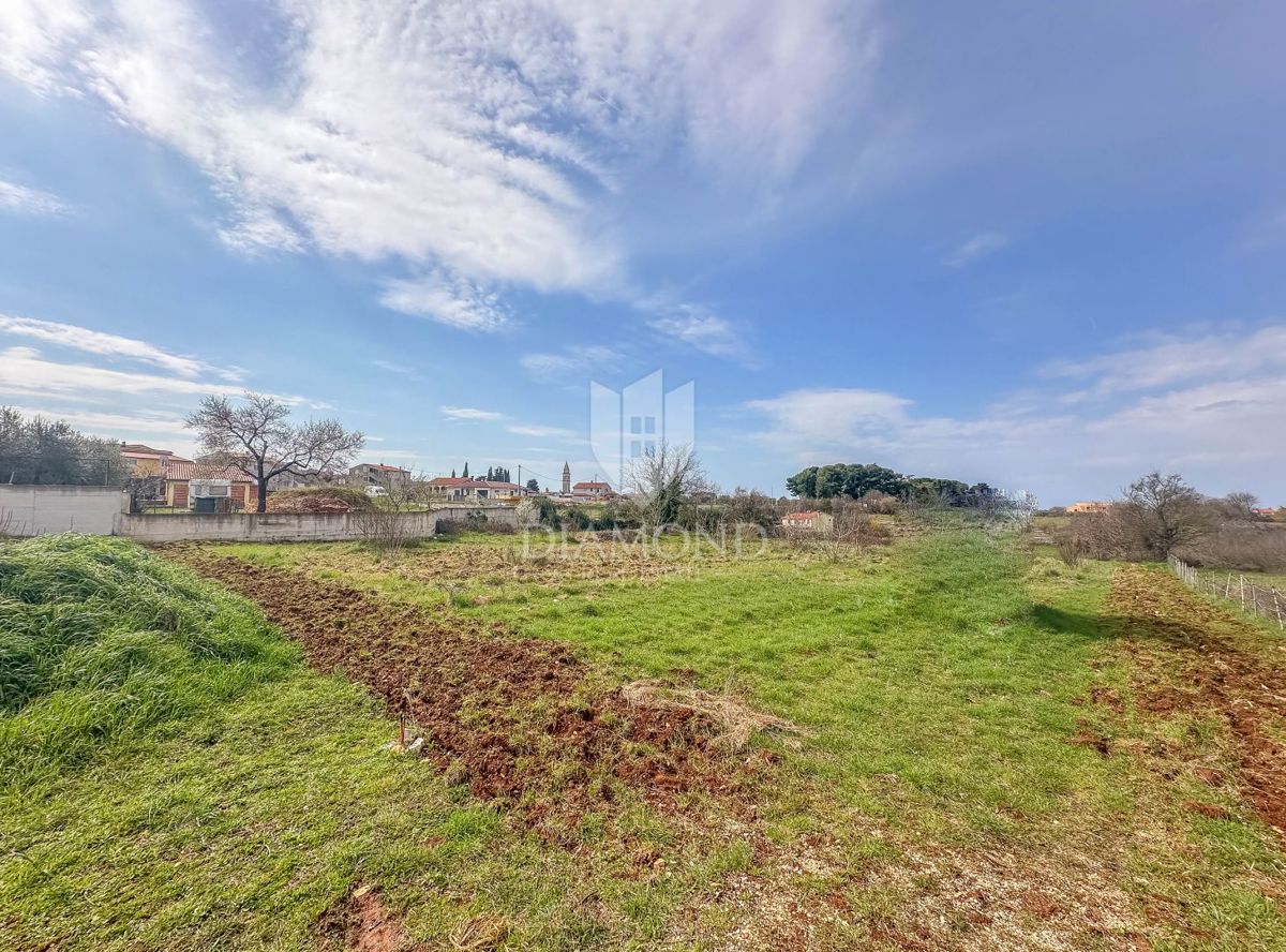 Dignano, ampio terreno edificabile