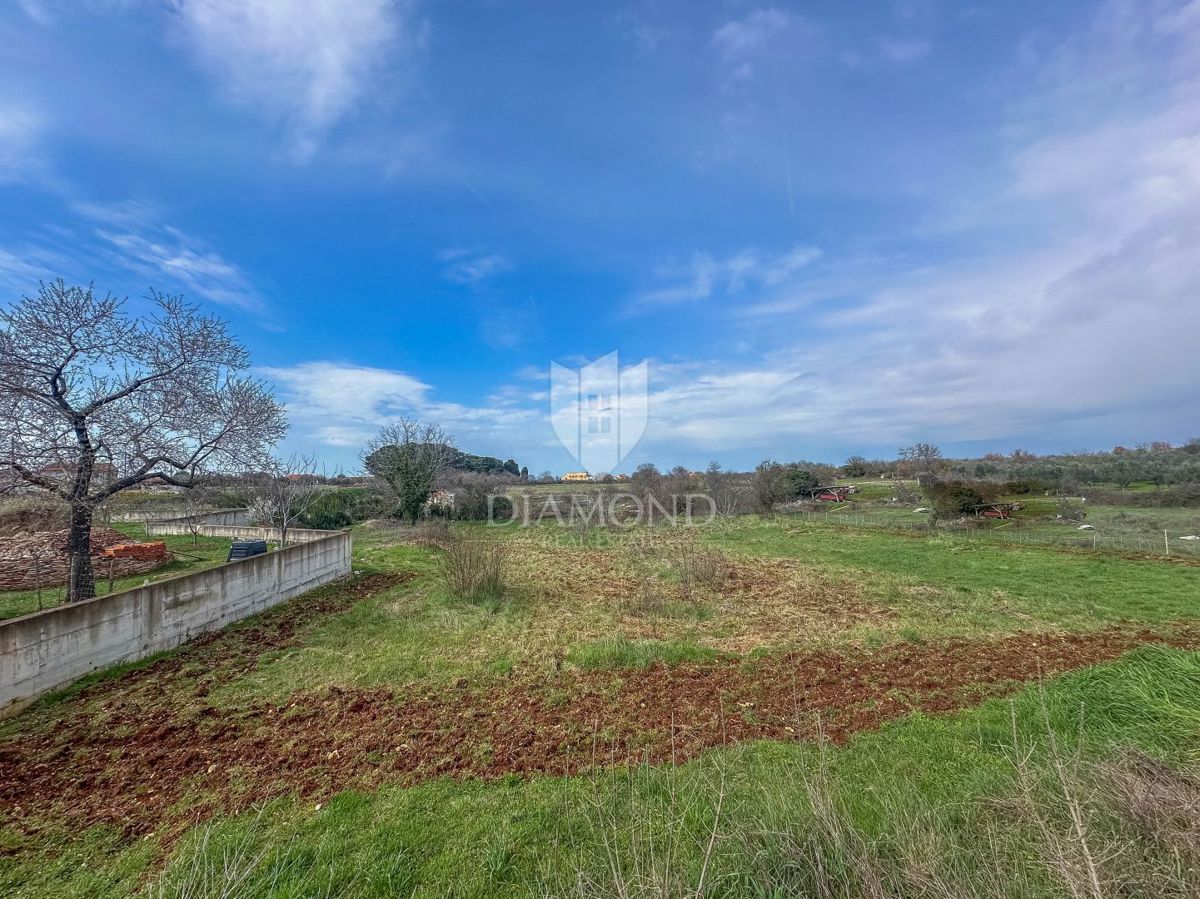 Dignano, ampio terreno edificabile