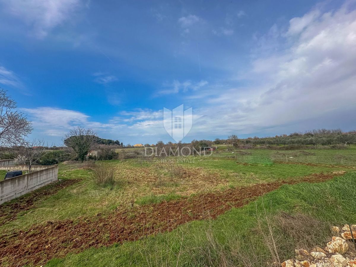 Dignano, ampio terreno edificabile