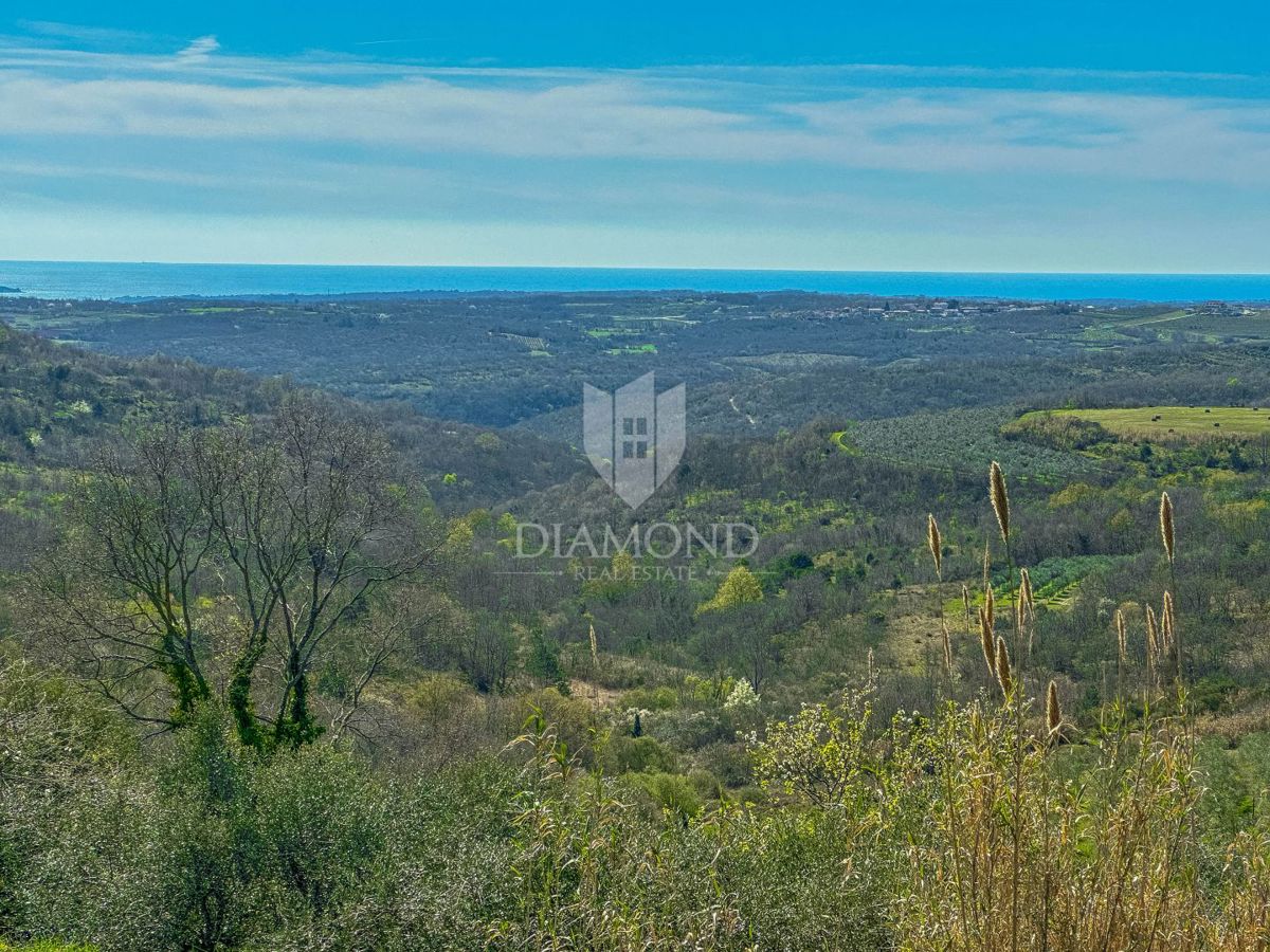 Terreno Krasica, Buje, 754m2