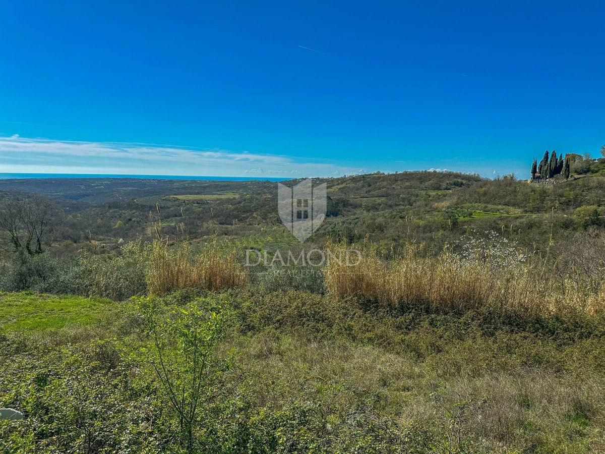 Terreno Krasica, Buje, 754m2