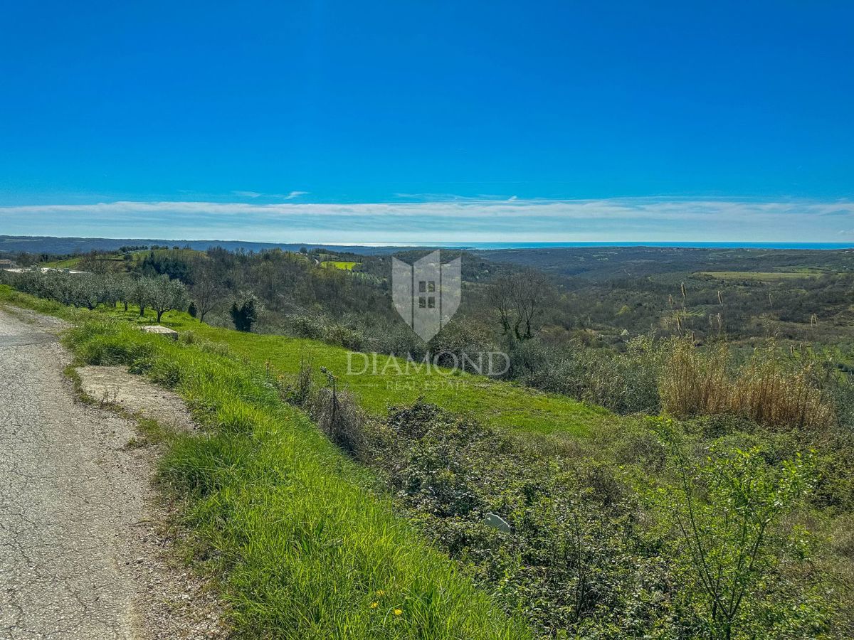 Terreno Krasica, Buje, 754m2