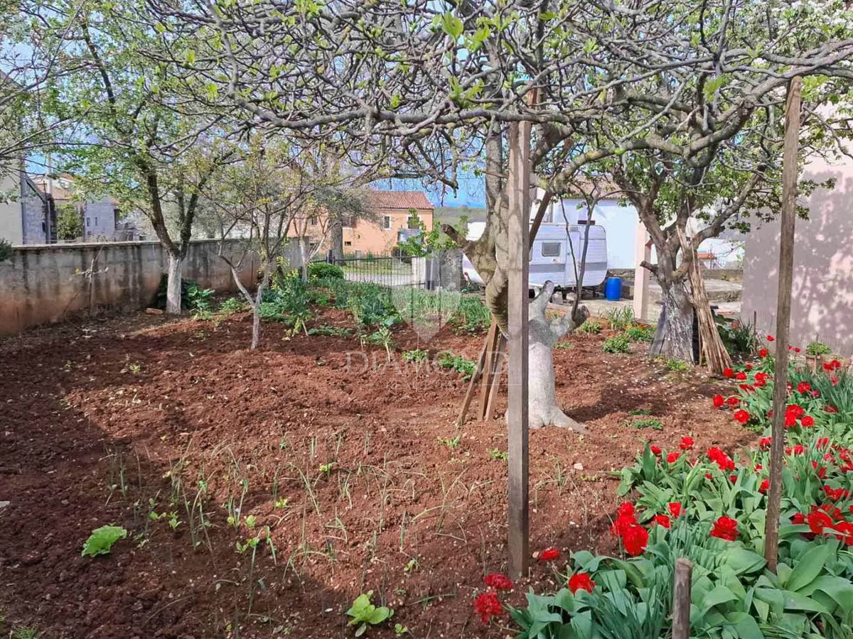 Parenzo, dintorni, appartamento con quattro camere da letto al primo piano, occasione!