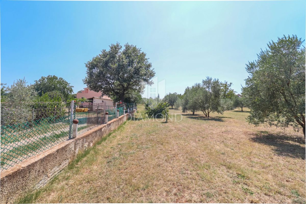 Eccellente terreno edificabile a Loborica! 