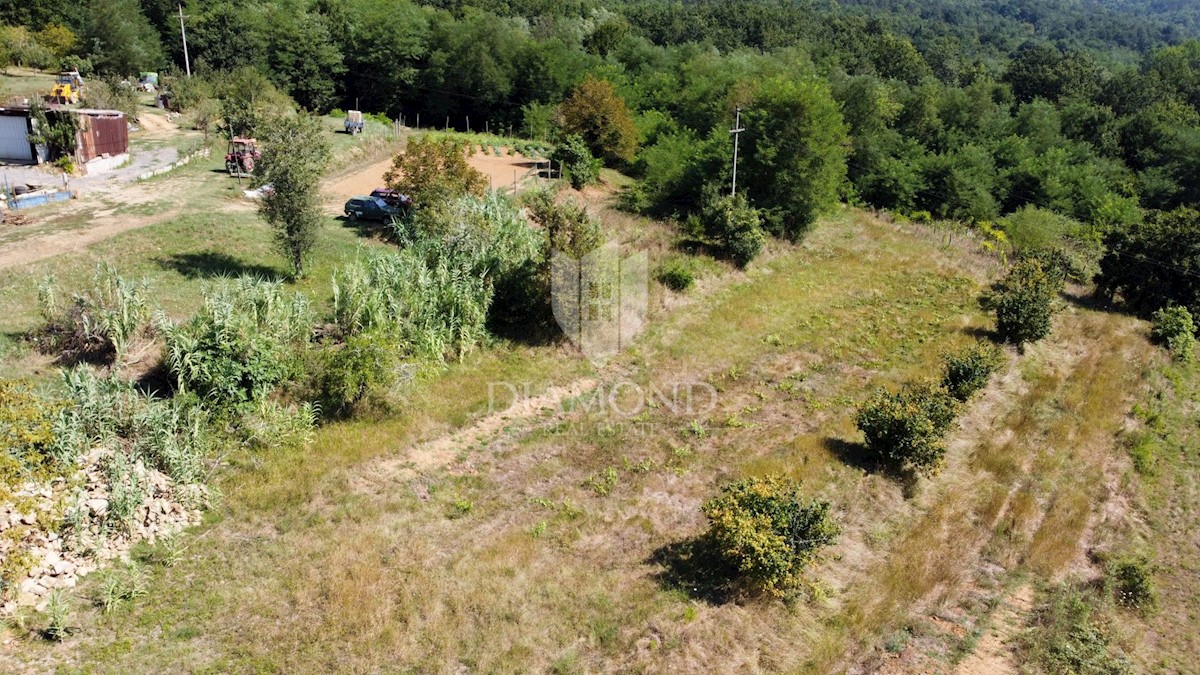 Terreno edificabile vicino a Montona!