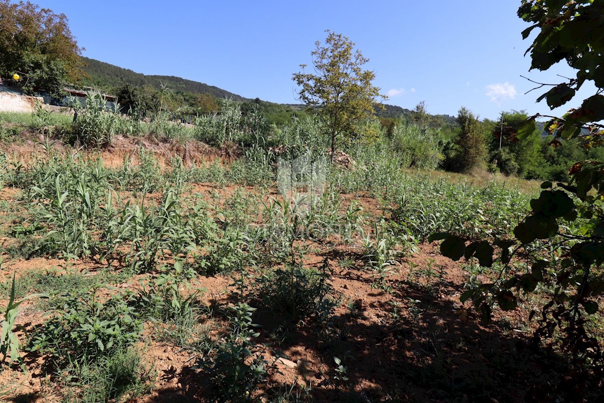 Terreno edificabile vicino a Montona!