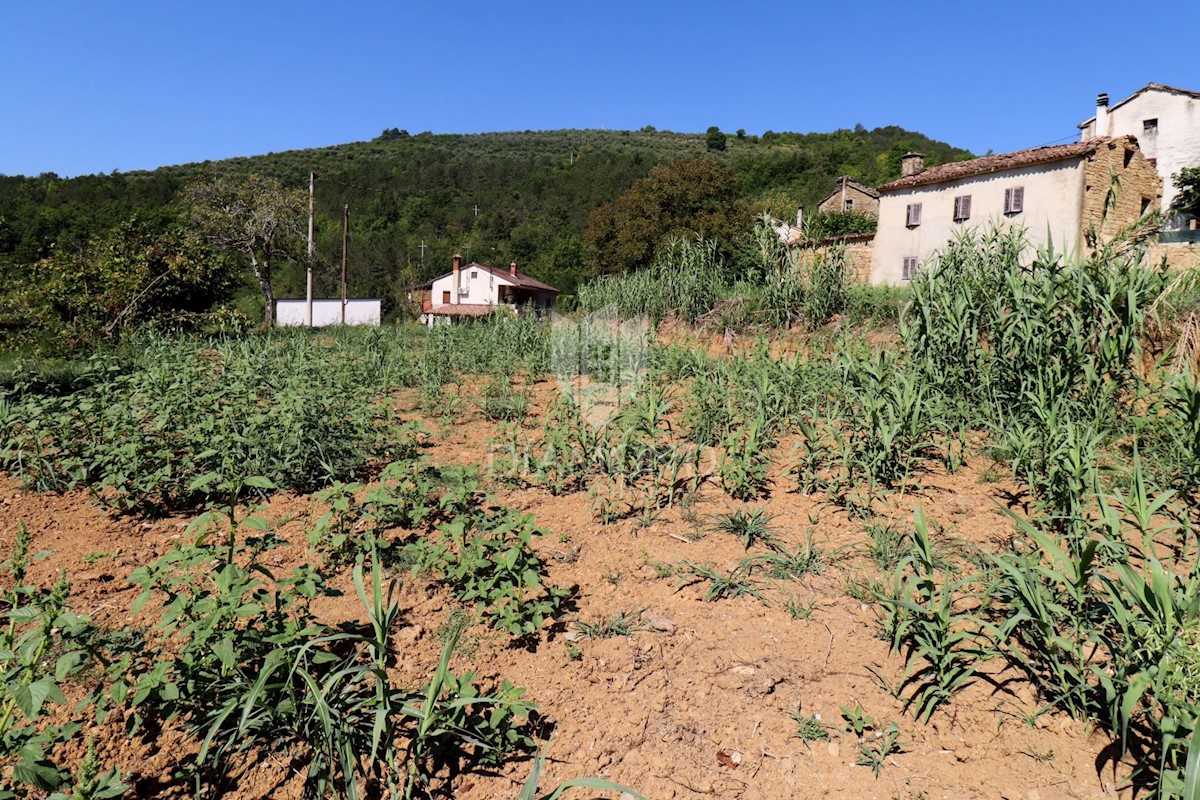 Terreno edificabile vicino a Montona!