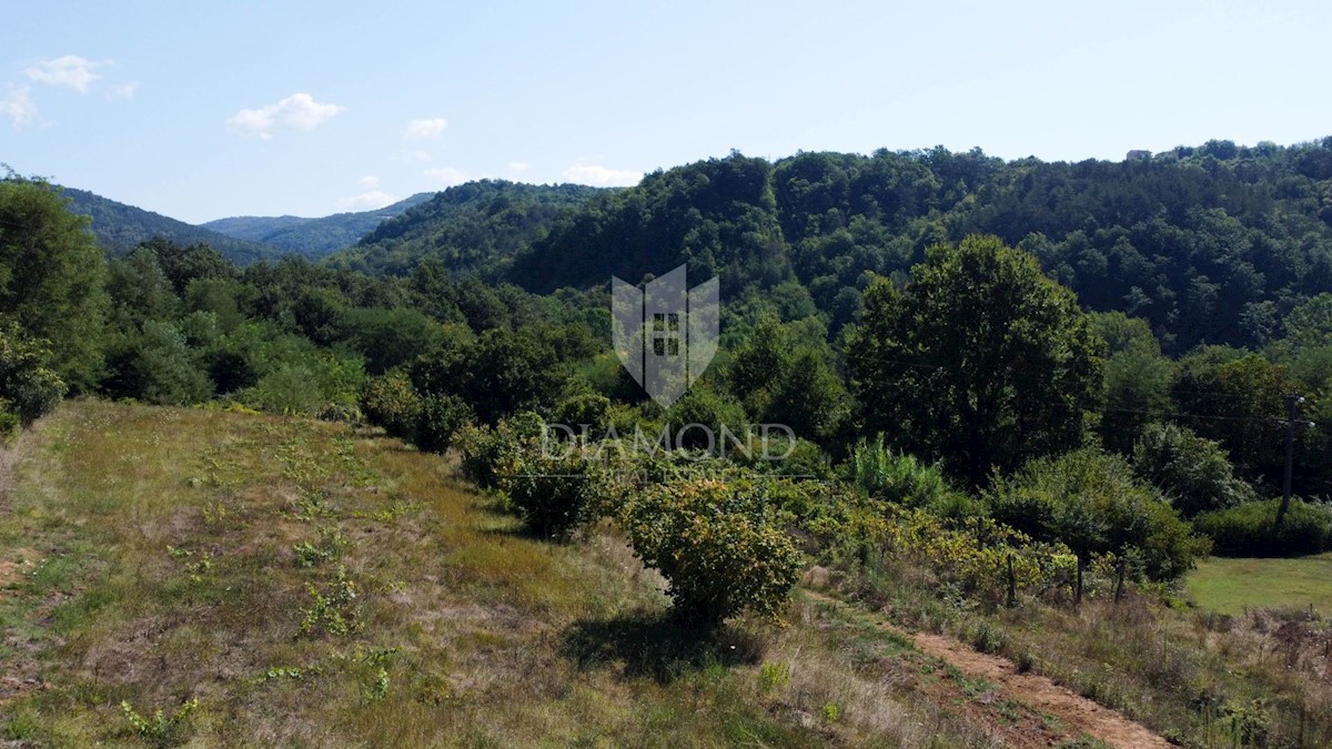 Terreno edificabile vicino a Montona!