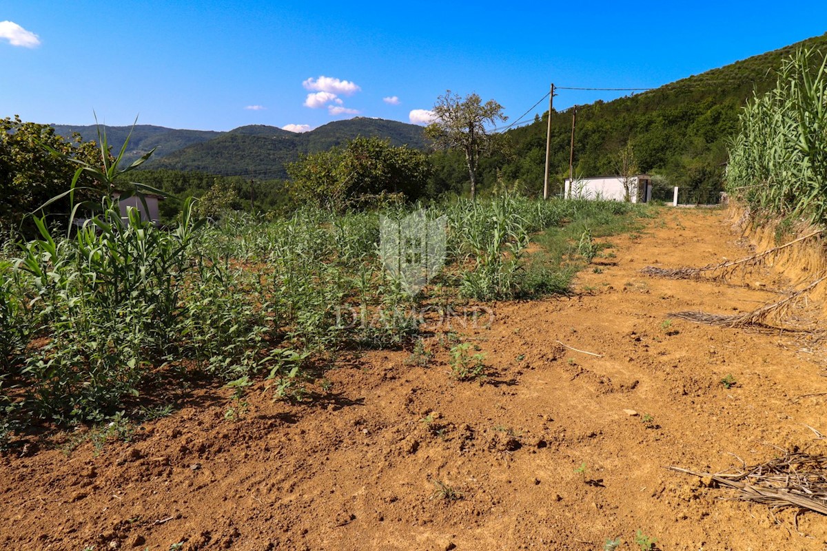 Terreno edificabile vicino a Montona!