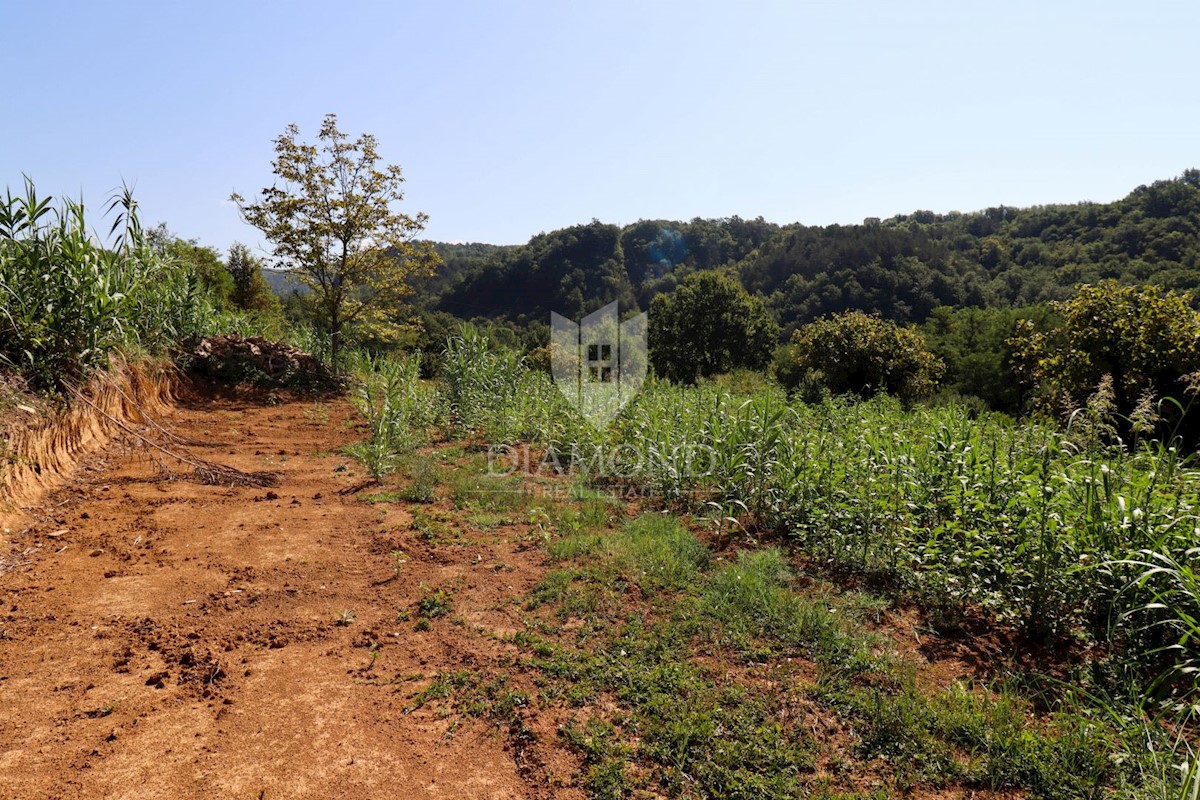 Terreno edificabile vicino a Montona!