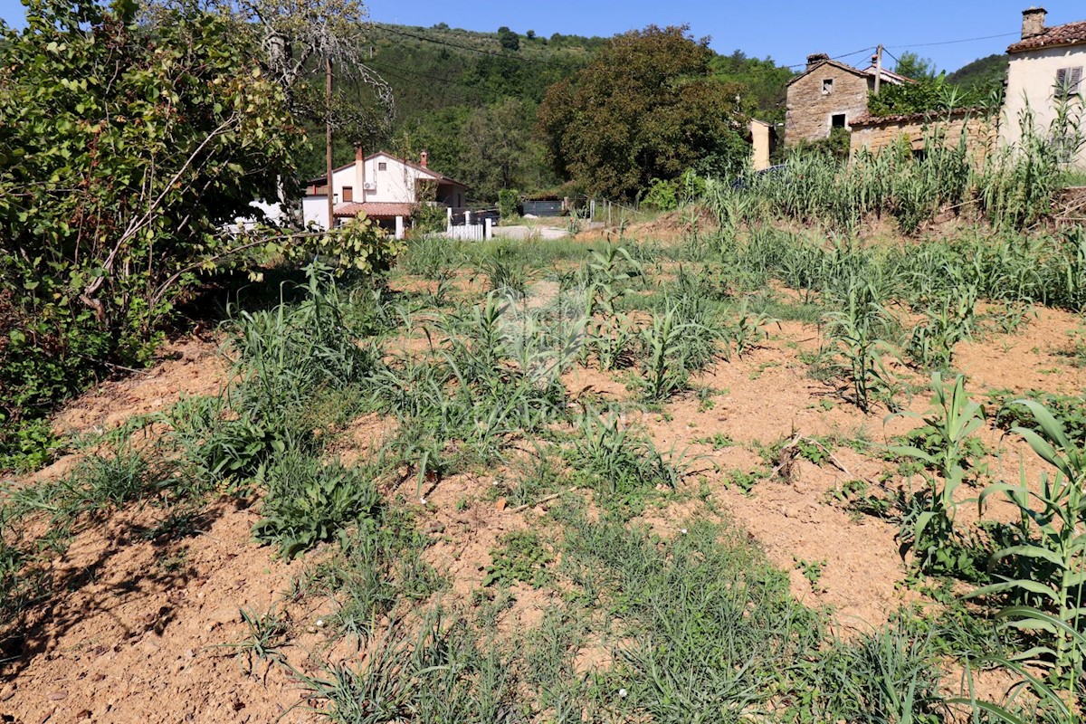 Terreno edificabile vicino a Montona!