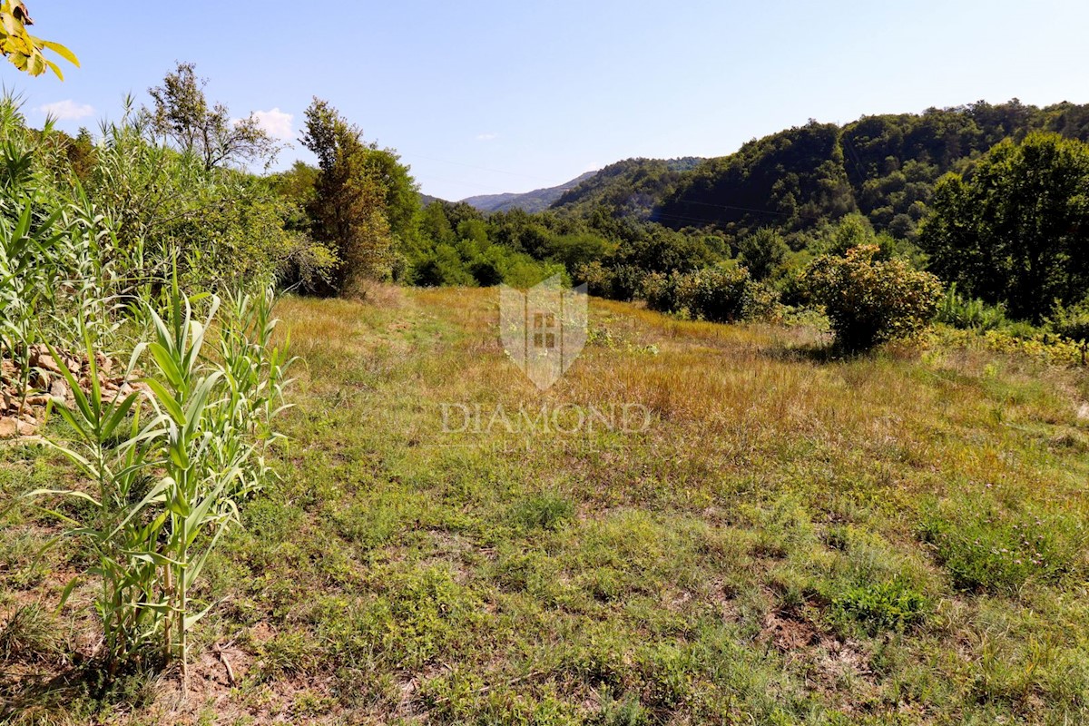 Terreno edificabile vicino a Montona!