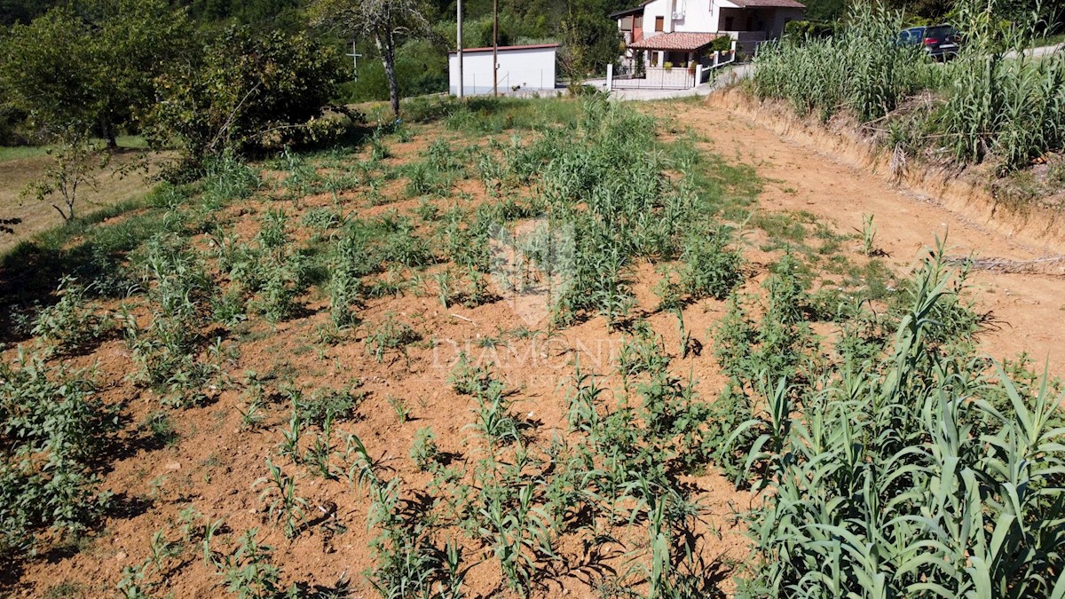 Terreno edificabile vicino a Montona!