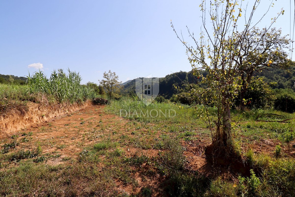 Terreno edificabile vicino a Montona!