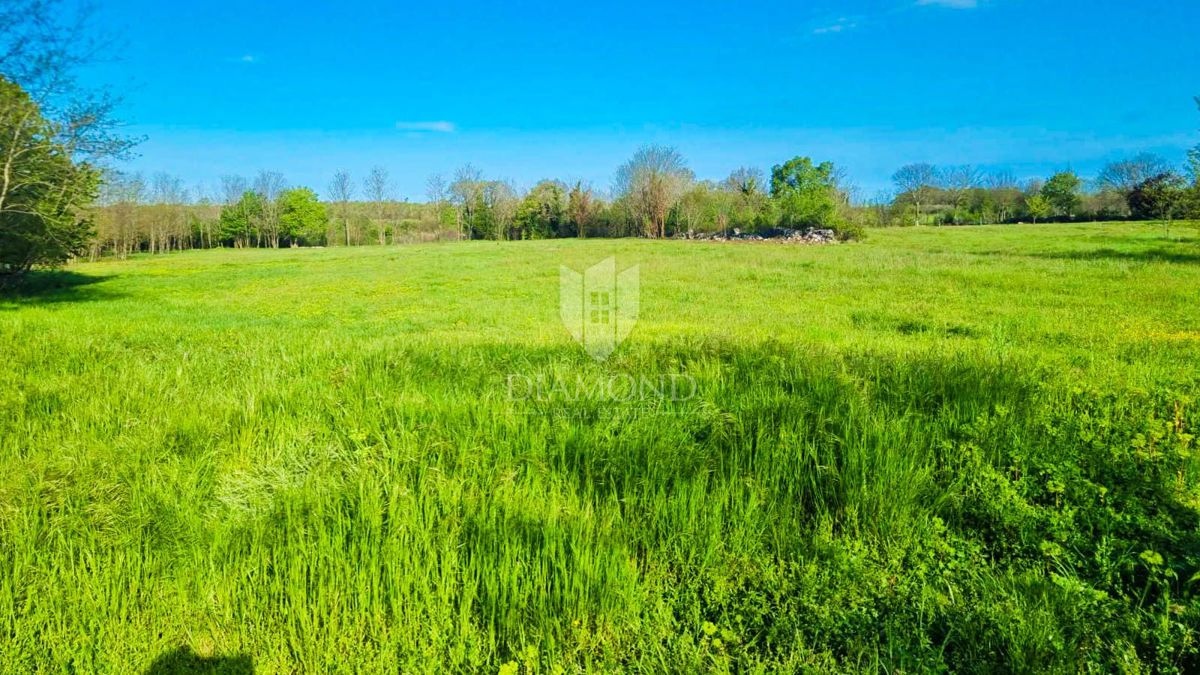 Poreč, dintorni, terreno ai margini con permesso di costruzione