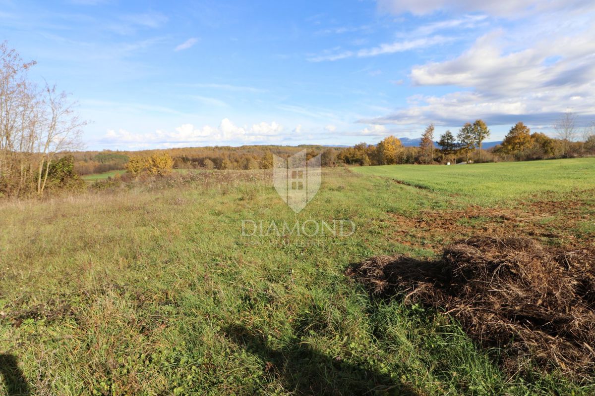 Istria centrale, terreno con permesso di costruire