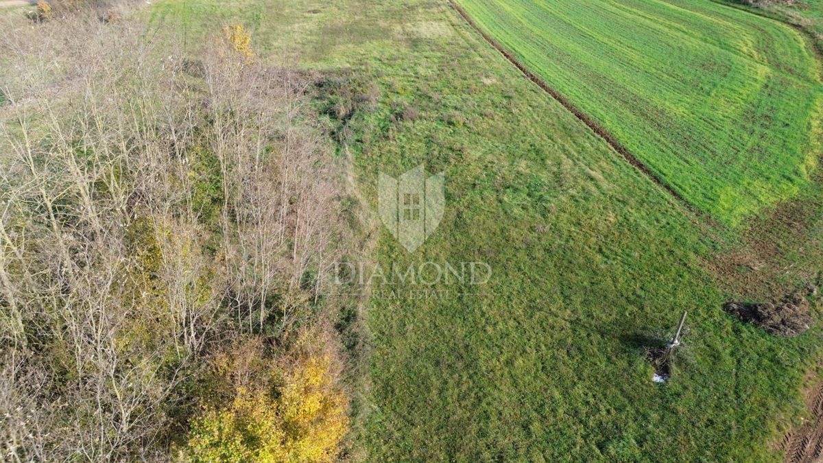 Istria centrale, terreno con permesso di costruire