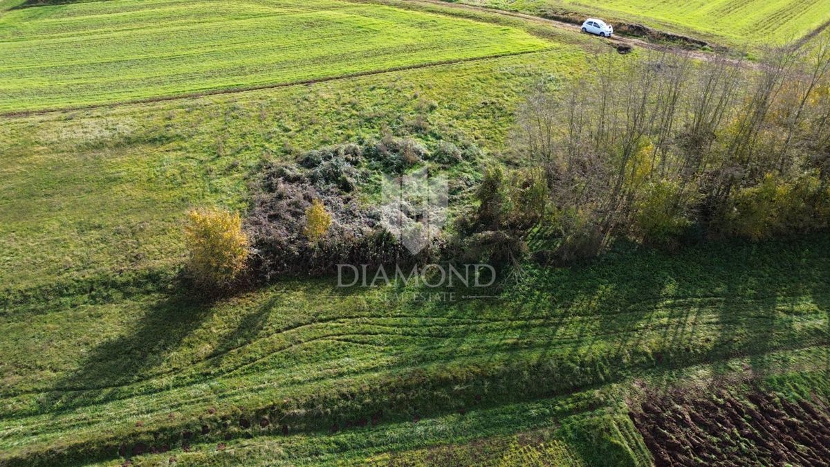 Istria centrale, terreno con permesso di costruire