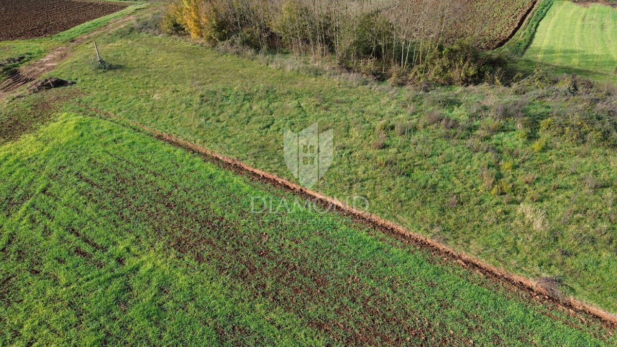 Istria centrale, terreno con permesso di costruire