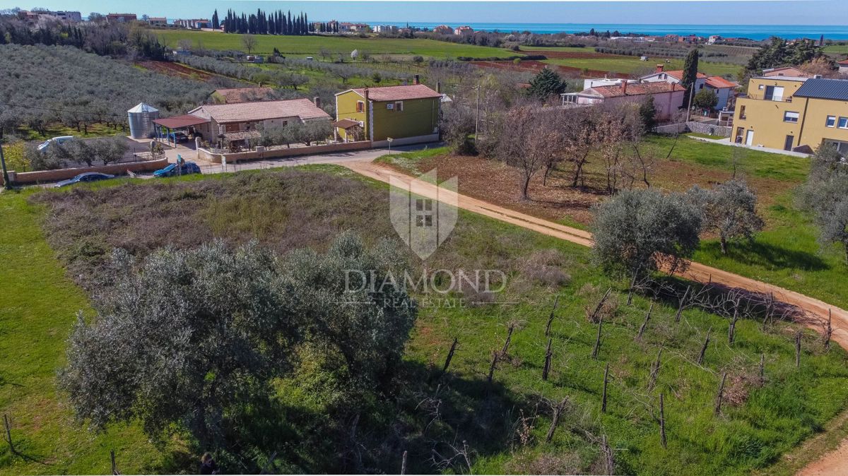 Cittanova, terreno edificabile con progetto e permesso!