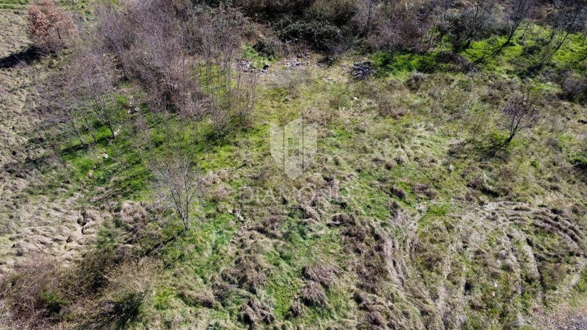 Parenzo – Dintorni – Terreno Edificabile in Posizione Tranquilla