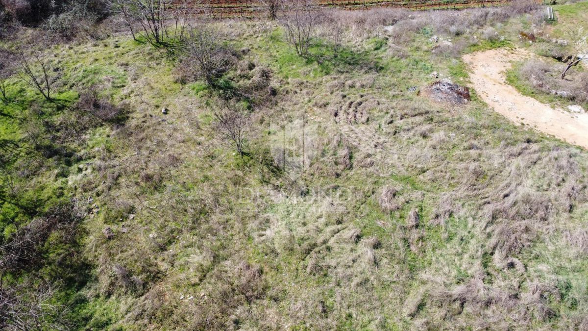 Parenzo – Dintorni – Terreno Edificabile in Posizione Tranquilla