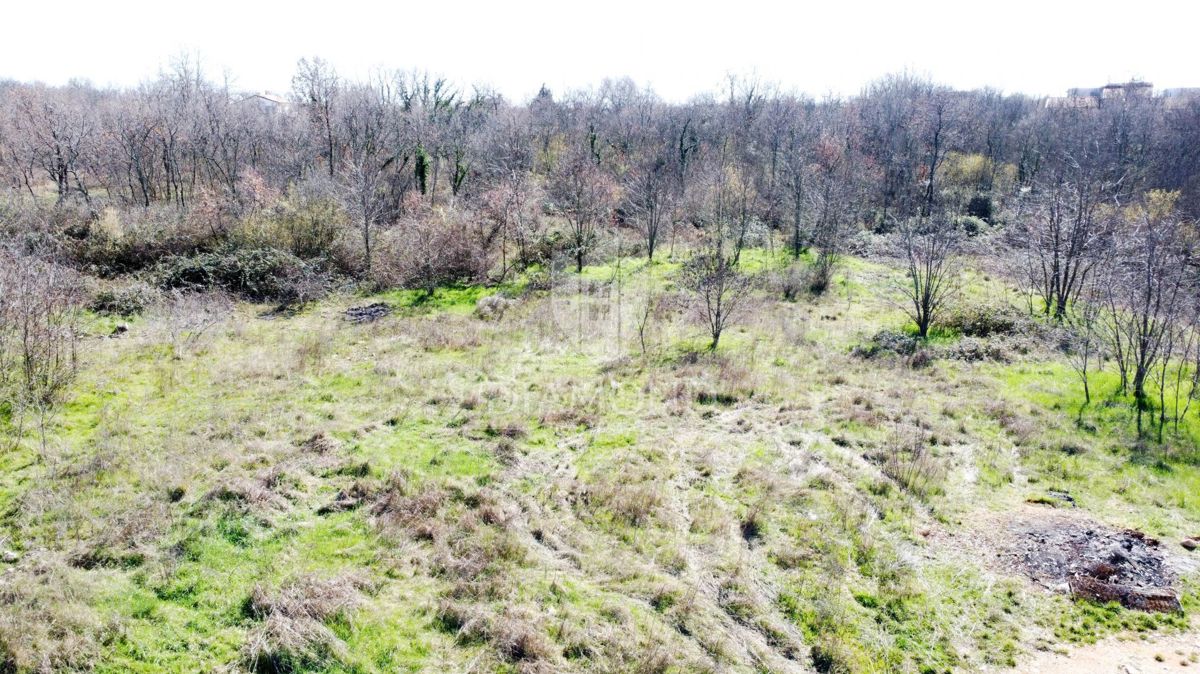 Parenzo – Dintorni – Terreno Edificabile in Posizione Tranquilla