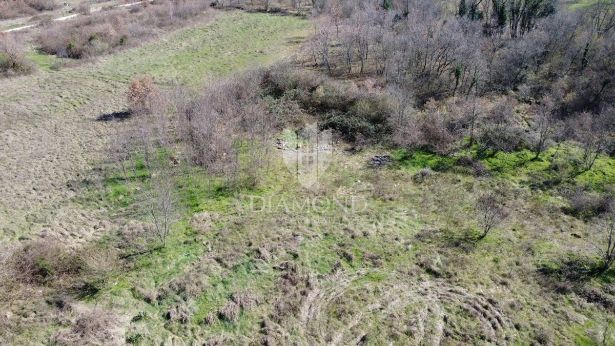 Parenzo – Dintorni – Terreno Edificabile in Posizione Tranquilla